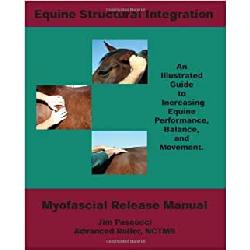 Equine Structural Integration Myofascial Release Image