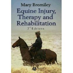 Equine Injury, Therapy & Rehabilitation. Bromiley. Image